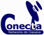 CONECTA NETWORKS DE OAXACA SA DE CV